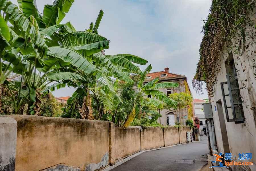 端午節(jié)去廈門怎么玩,端午節(jié)去廈門玩什么? 端午節(jié)去廈門怎么玩,端午節(jié)去廈門玩什么?