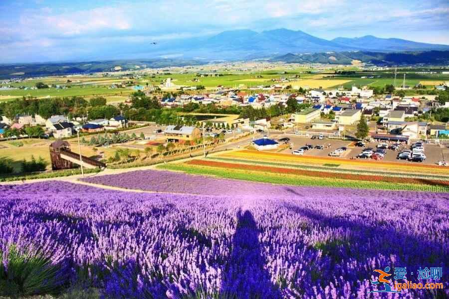 日本最全旅游時間表!日本最佳旅游時間? 日本最全旅游時間表!日本最佳旅游時間?