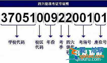 忘記準考證號怎么查四六級分數？