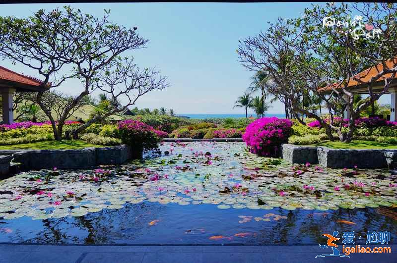 【費用】去巴厘島旅游多少錢，巴厘島自由行花費多少錢？