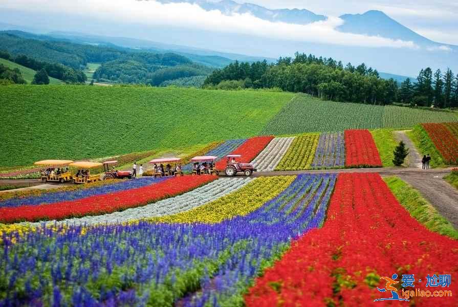 北海道適合幾月份去,北海道適合幾月份去? 北海道適合幾月份去,北海道適合幾月份去?