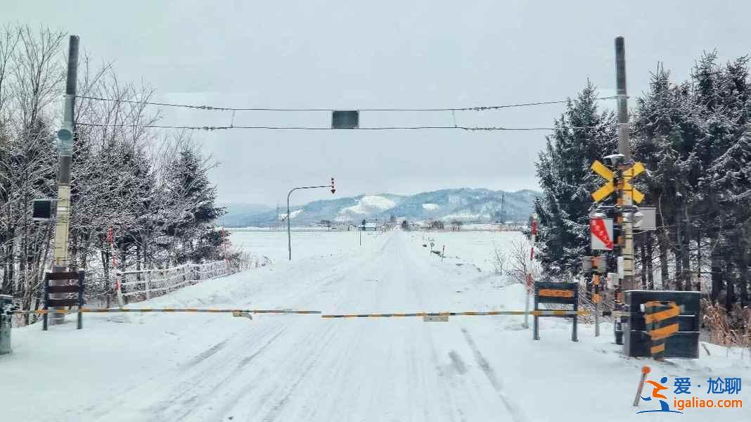 北海道適合幾月份去,北海道適合幾月份去? 北海道適合幾月份去,北海道適合幾月份去?