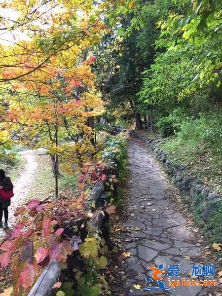 北海道適合幾月份去,北海道適合幾月份去? 北海道適合幾月份去,北海道適合幾月份去?