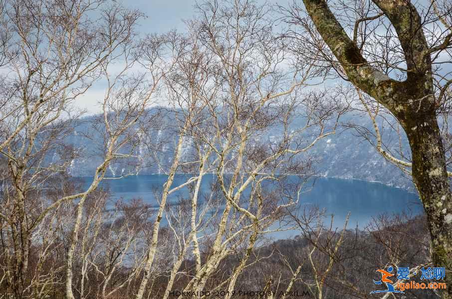 登別熊牧場好玩嗎？登別熊牧場值得去嗎？登別熊牧場游玩解析？