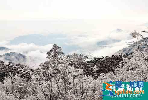 西嶺雪山夏天去好玩嗎？