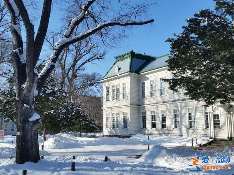 北海道大學可以觀光嗎？北海道大學值得去嗎？北海道大學觀光指南？