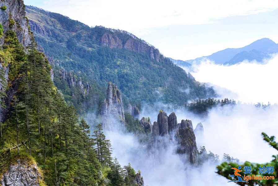神農(nóng)架有什么好玩的地方，神農(nóng)架有哪些熱門(mén)景點(diǎn)，神農(nóng)架熱門(mén)景點(diǎn)推薦？