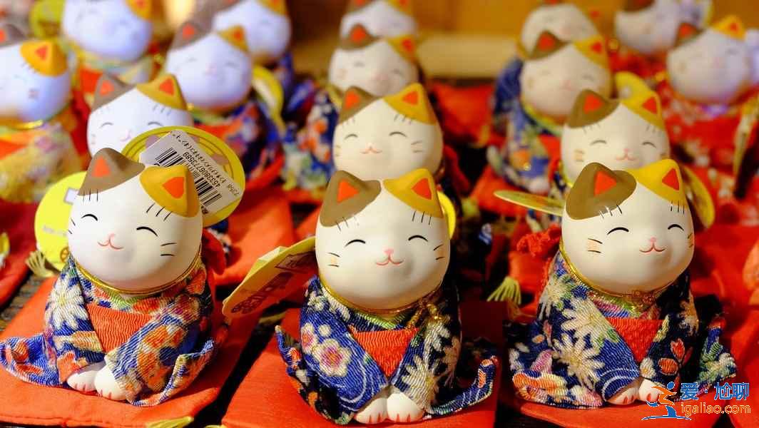 北海道親子游怎么玩，北海道親子游路線推薦，北海道親子游攻略？