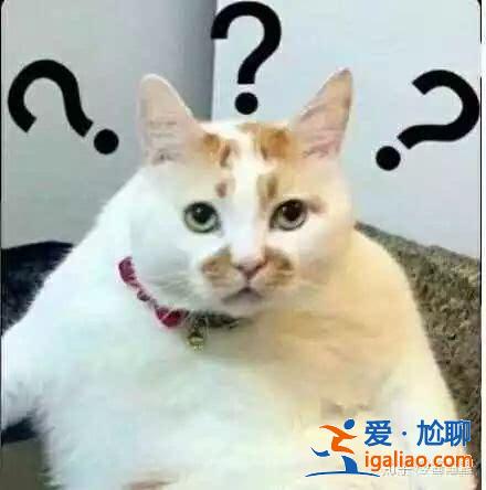 劉歡在芒果節目中吐槽芒果臺被贊耿直,論耿直這些明星不輸給劉歡