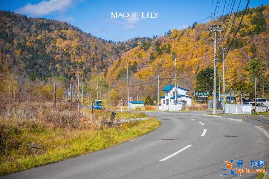 北海道哪些地方適合旅拍?北海道旅拍好去處大盤點? 北海道哪些地方適合旅拍?北海道旅拍好去處大盤點?