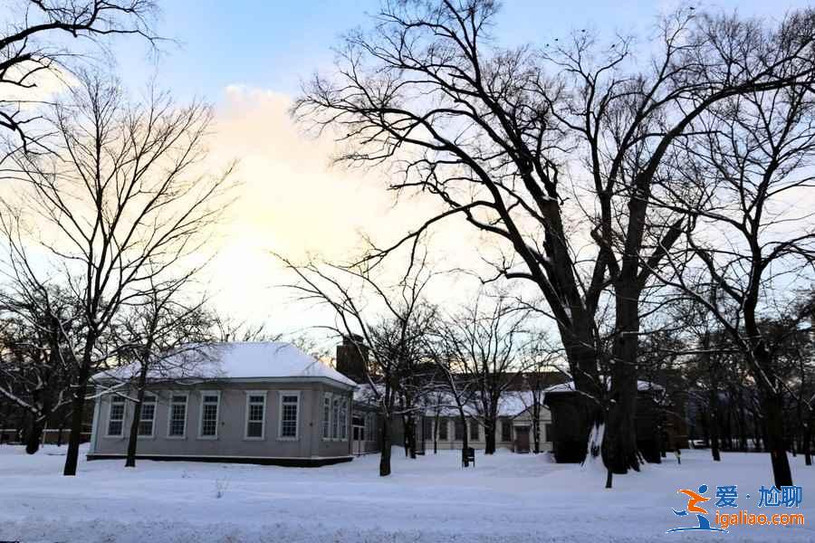 北海道哪些地方適合旅拍?北海道旅拍好去處大盤點? 北海道哪些地方適合旅拍?北海道旅拍好去處大盤點?