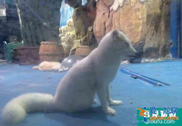 南寧元旦去哪里玩比較好 游玩地點(diǎn)推薦? 南寧元旦去哪里玩比較好 游玩地點(diǎn)推薦?