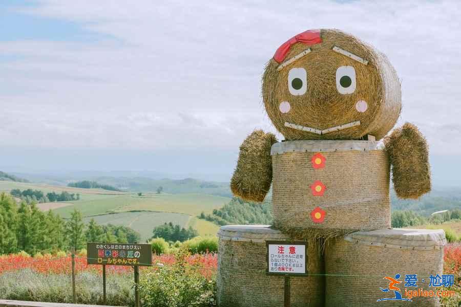 北海道哪些地方適合旅拍?北海道旅拍好去處大盤點? 北海道哪些地方適合旅拍?北海道旅拍好去處大盤點?