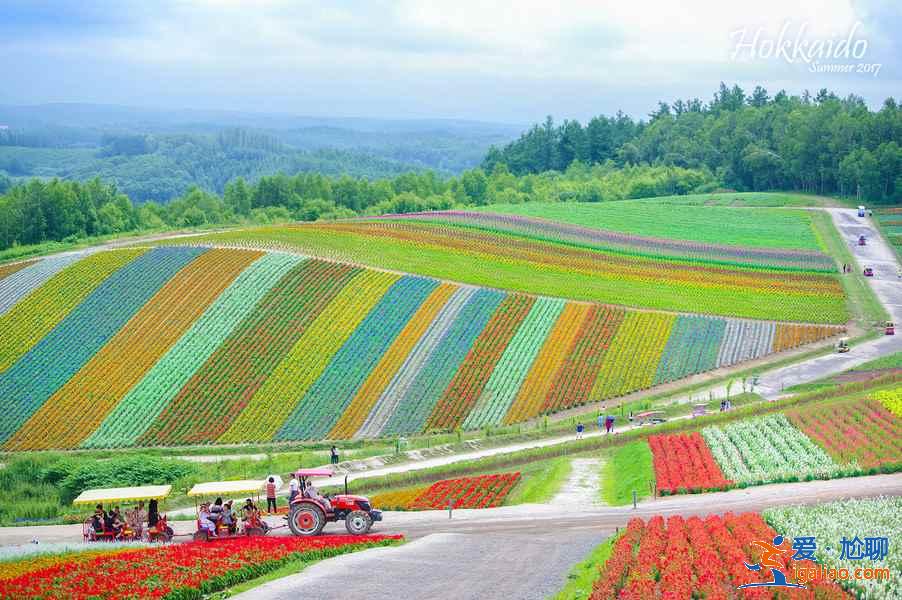 北海道哪些地方適合旅拍?北海道旅拍好去處大盤點? 北海道哪些地方適合旅拍?北海道旅拍好去處大盤點?