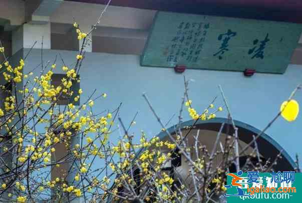 2022無錫梅園梅花開了嗎 具體開放時(shí)間？