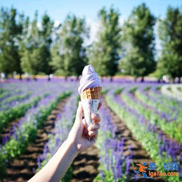 北海道哪些地方適合旅拍?北海道旅拍好去處大盤點? 北海道哪些地方適合旅拍?北海道旅拍好去處大盤點?