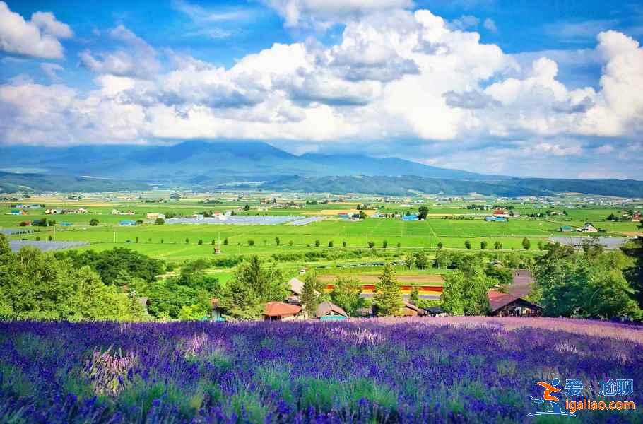 北海道哪些地方適合旅拍?北海道旅拍好去處大盤點? 北海道哪些地方適合旅拍?北海道旅拍好去處大盤點?