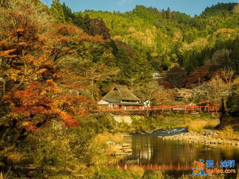 日本紅葉正當(dāng)時(shí),再不去就真的來不及了??? 日本紅葉正當(dāng)時(shí),再不去就真的來不及了???