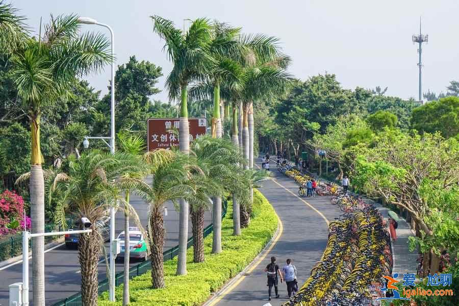 廈門必游景點(diǎn)有哪些,廈門熱門打卡景點(diǎn)盤點(diǎn),廈門旅游攻略? 廈門必游景點(diǎn)有哪些,廈門熱門打卡景點(diǎn)盤點(diǎn),廈門旅游攻略?