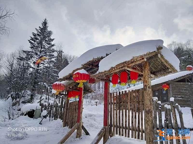 哈爾濱到東升林場(雪谷)交通,哈爾濱到東升林場怎么去? 哈爾濱到東升林場(雪谷)交通,哈爾濱到東升林場怎么去?