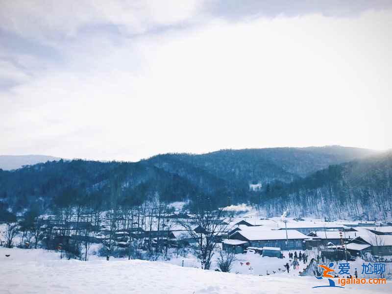 哈爾濱到東升林場(雪谷)交通,哈爾濱到東升林場怎么去? 哈爾濱到東升林場(雪谷)交通,哈爾濱到東升林場怎么去?