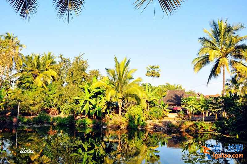 【昆明到西雙版納】昆明到西雙版納怎么走,昆明到西雙版納多少公里? 【昆明到西雙版納】昆明到西雙版納怎么走,昆明到西雙版納多少公里?