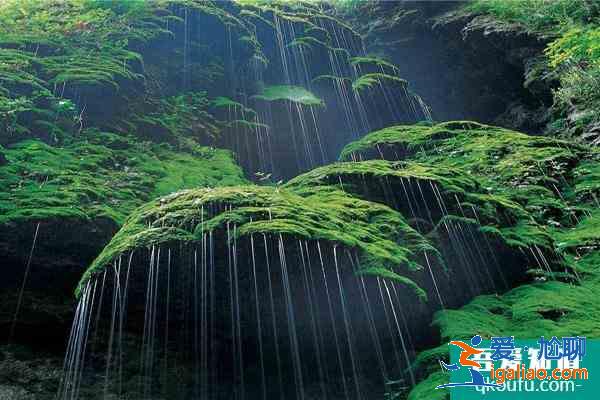 2021河南云臺山疫情防控加強(qiáng)通知? 2021河南云臺山疫情防控加強(qiáng)通知?