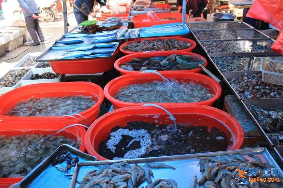 青島人氣海鮮市場TOP4，吃的盡興又劃算？