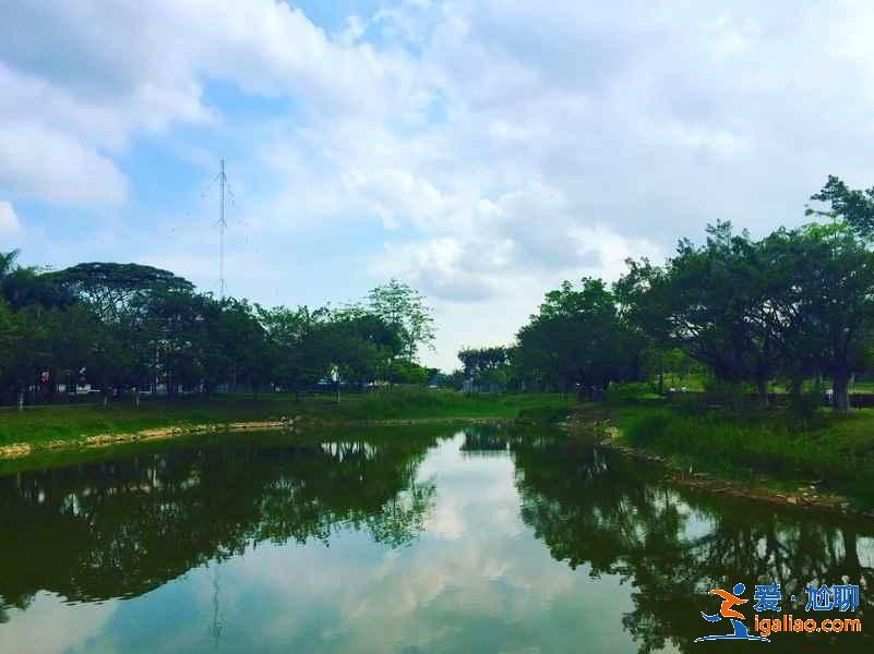 【深圳地鐵線路圖】2019深圳地鐵線路圖最新版,最新深圳地鐵線路圖? 【深圳地鐵線路圖】2019深圳地鐵線路圖最新版,最新深圳地鐵線路圖?