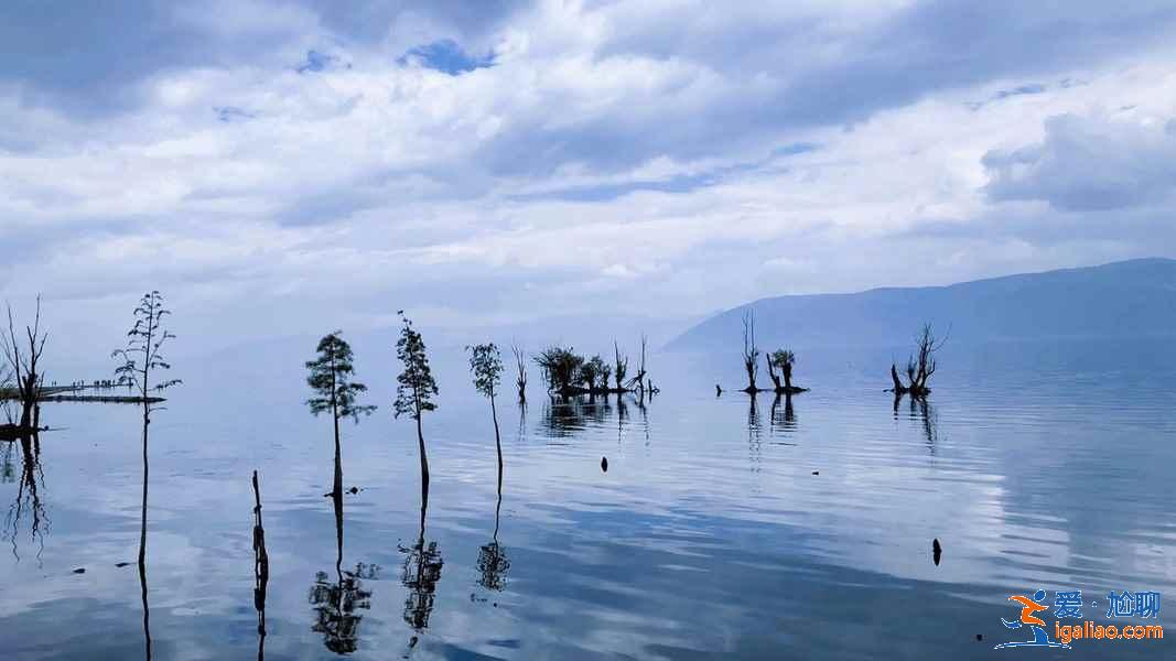 大理必打卡網(wǎng)紅拍照地,大理網(wǎng)紅拍照圣地? 大理必打卡網(wǎng)紅拍照地,大理網(wǎng)紅拍照圣地?