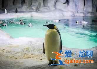 珠海有什么好玩的地方，珠海哪里好玩，珠海景點游玩攻略？