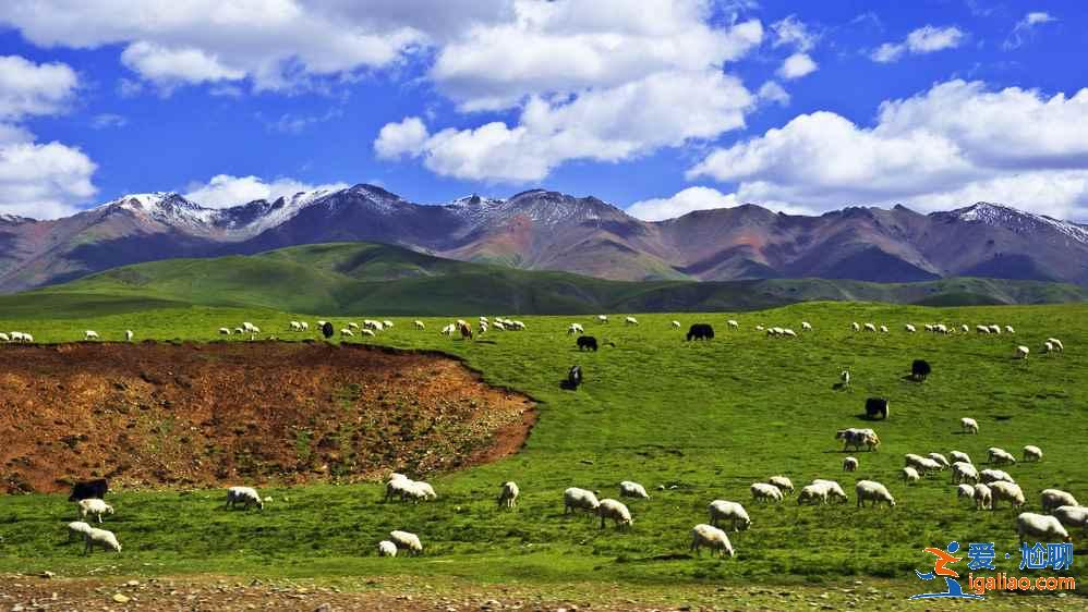 六月青海湖哪里好玩,六月青海湖有哪些好玩的地方,青海湖六月旅游好去處? 六月青海湖哪里好玩,六月青海湖有哪些好玩的地方,青海湖六月旅游好去處?