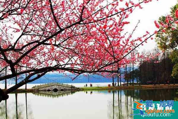 2022東湖梅園門票多少錢一張？