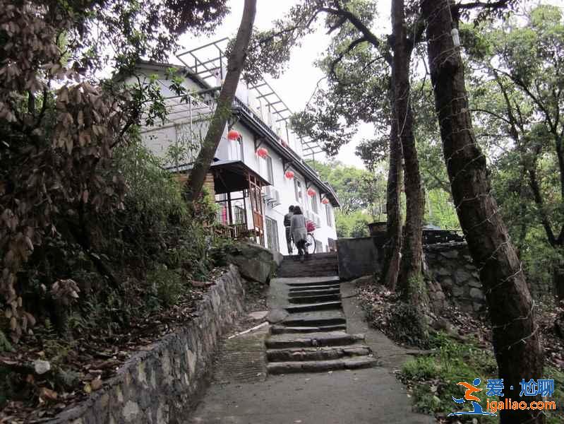 杭州特色青旅有哪些？杭州有什么特色青旅？杭州特色青旅客棧推薦？