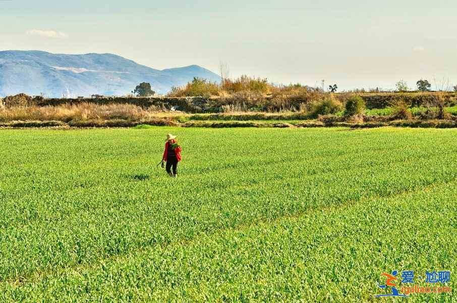 【昆明到大理】從昆明到大理怎么走，昆明到大理多少公里？