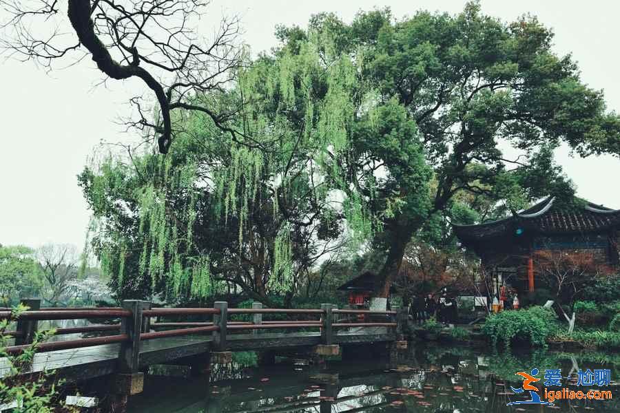 杭州西湖新十景是什么,杭州西湖新十景和老十景有什么區別? 杭州西湖新十景是什么,杭州西湖新十景和老十景有什么區別?