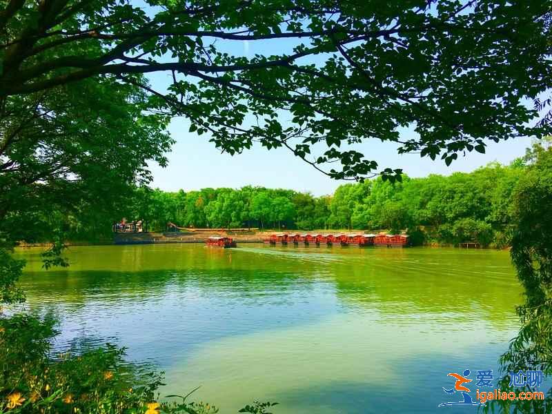 杭州西溪濕地怎么玩,杭州西溪濕地怎么玩比較好,杭州西溪濕地游玩攻略? 杭州西溪濕地怎么玩,杭州西溪濕地怎么玩比較好,杭州西溪濕地游玩攻略?