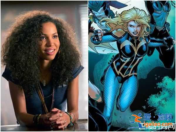 DC《猛禽小隊(duì)》代替蝙蝠俠？公開黑金絲雀女獵人選角？