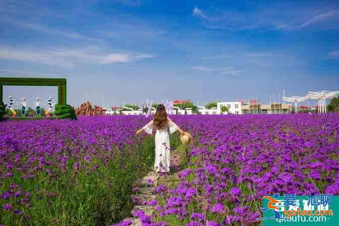 寧夏自駕游攻略及花費介紹 這份6日游路線很經典？