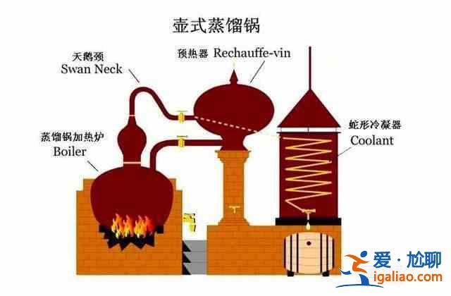威士忌與白蘭地的區別？