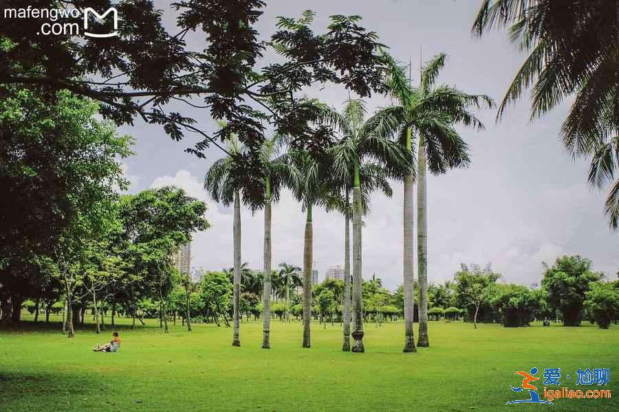復古懷舊的?？冢屓嘶隊繅衾@的椰城？