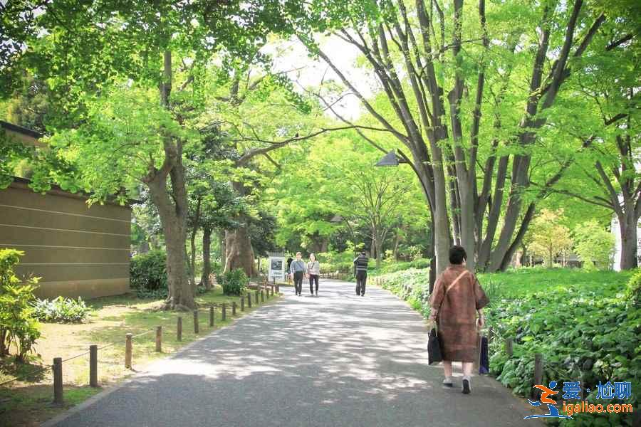 東京三日游路線推薦,東京三日游怎么安排? 東京三日游路線推薦,東京三日游怎么安排?