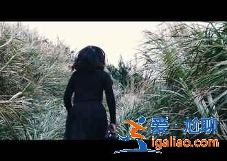 東極島有什么好玩的?東極島熱門景點有哪些?? 東極島有什么好玩的?東極島熱門景點有哪些??