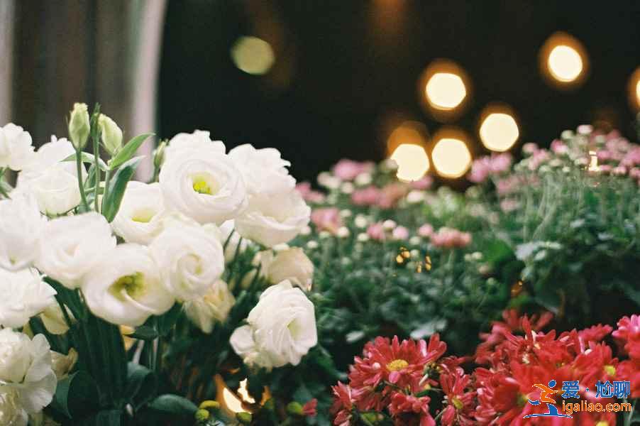 2019重慶端午節天氣預報,端午節去重慶穿什么? 2019重慶端午節天氣預報,端午節去重慶穿什么?