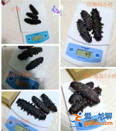 海參怎么發？？