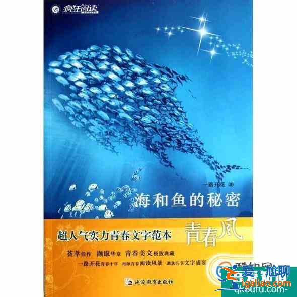 初中語文怎么學？