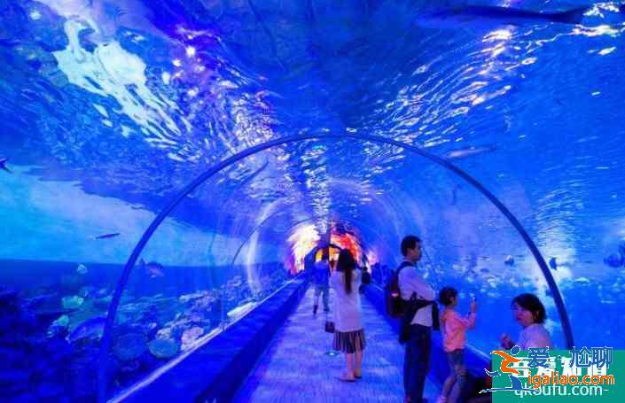 2022重慶漢海海洋公園元旦表演時間表及門票價格？