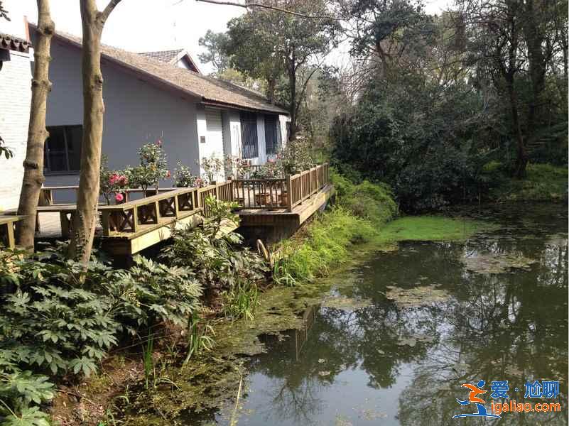 杭州植物園有哪些景點(diǎn)？杭州植物園游玩攻略？