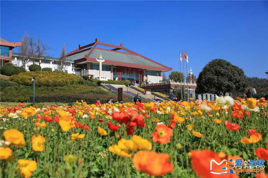 昆明世界園藝博覽園好玩嗎？昆明世界園藝博覽園值得去嗎？昆明世界園藝博覽園景區攻略？