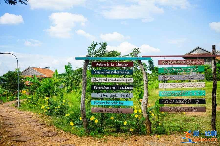 柬埔寨有哪些網紅景點,柬埔寨必打卡網紅景點,柬埔寨網紅景點盤點? 柬埔寨有哪些網紅景點,柬埔寨必打卡網紅景點,柬埔寨網紅景點盤點?